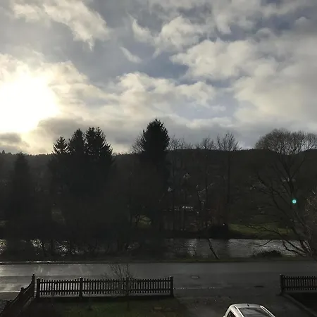 Nyaraló Ginkgo Biloba