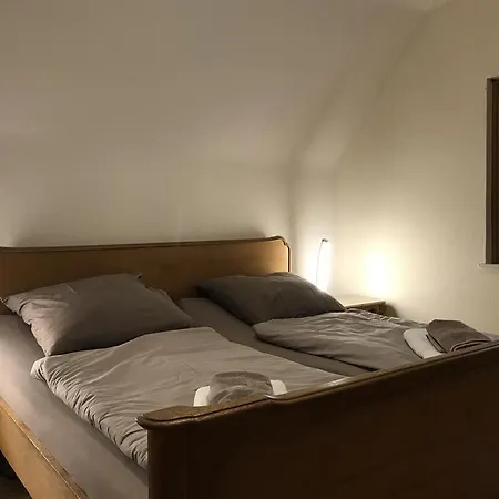 Ginkgo Biloba Nyaraló