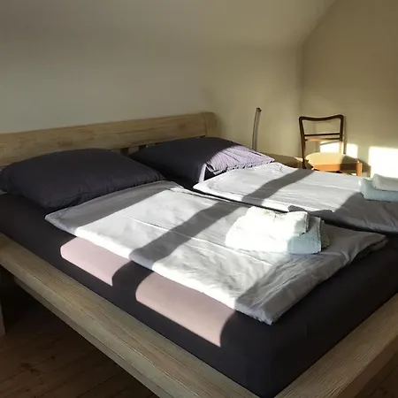 Nyaraló Ginkgo Biloba *