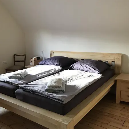 Ginkgo Biloba * Malsbenden