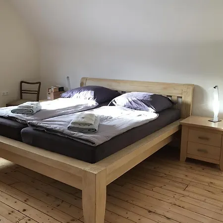 Nyaraló Ginkgo Biloba