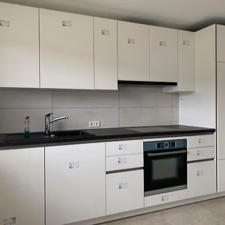 Ginkgo Biloba 펜션 *