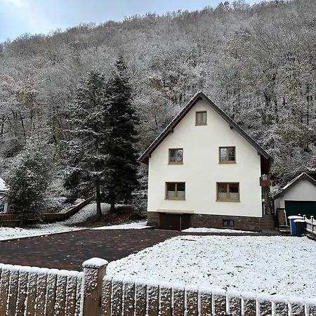 Ginkgo Biloba Nyaraló