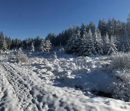 Nyaraló Ginkgo Biloba