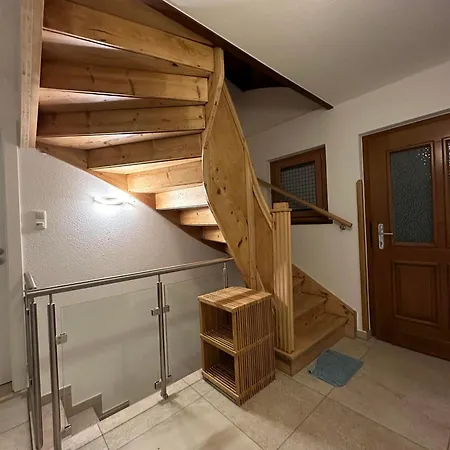 Ginkgo Biloba Nyaraló