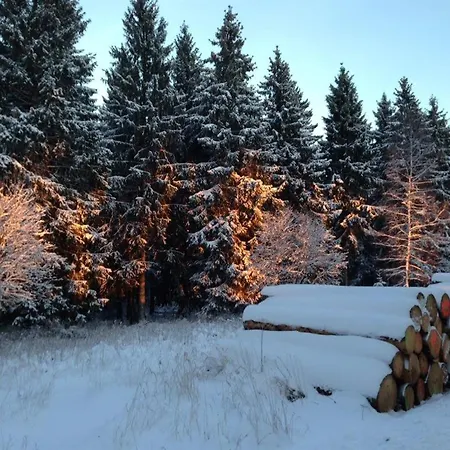 Ginkgo Biloba Nyaraló *