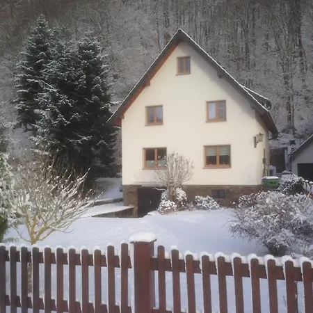 Ginkgo Biloba * Malsbenden