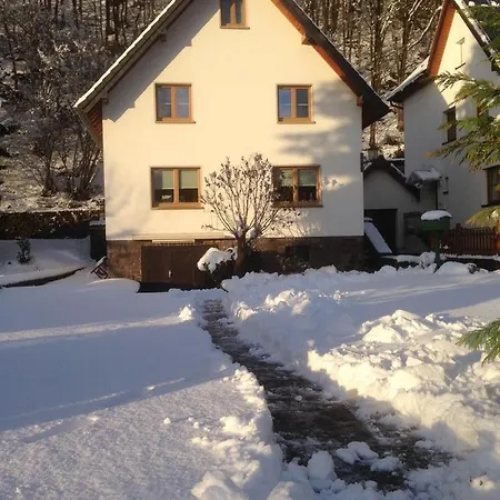 Nyaraló Ginkgo Biloba