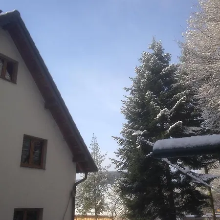 Ginkgo Biloba Nyaraló *