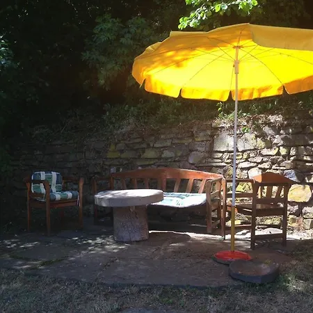 Ginkgo Biloba * Malsbenden