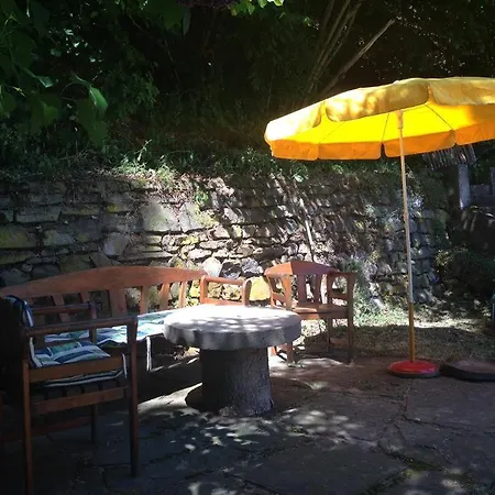 Ginkgo Biloba Malsbenden