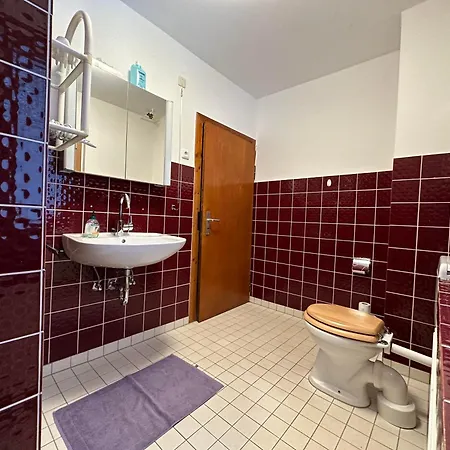 Ginkgo Biloba Nyaraló Malsbenden