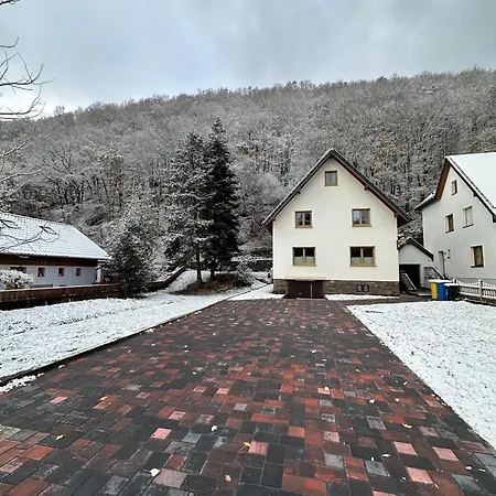 Nyaraló Ginkgo Biloba Malsbenden