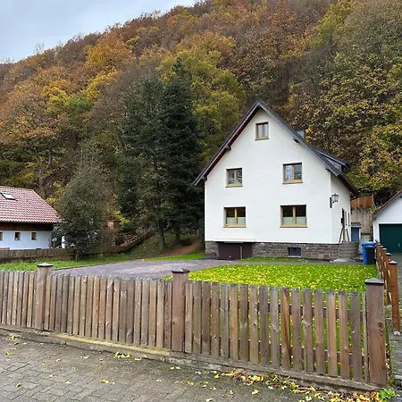 Ginkgo Biloba Nyaraló