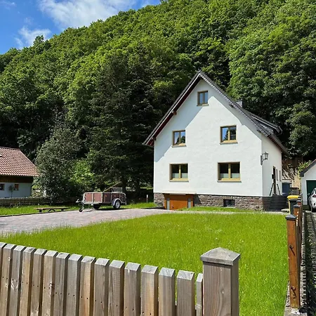 Ginkgo Biloba * Malsbenden