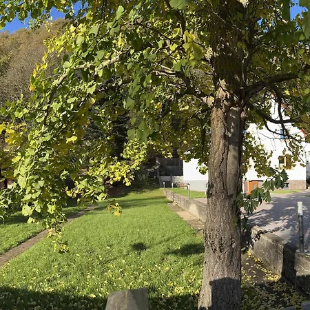 Ginkgo Biloba 펜션 *