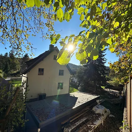 Ginkgo Biloba Malsbenden