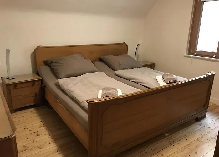 Ginkgo Biloba Malsbenden