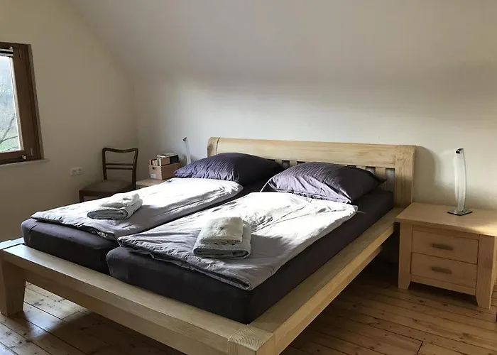 Ginkgo Biloba * Malsbenden