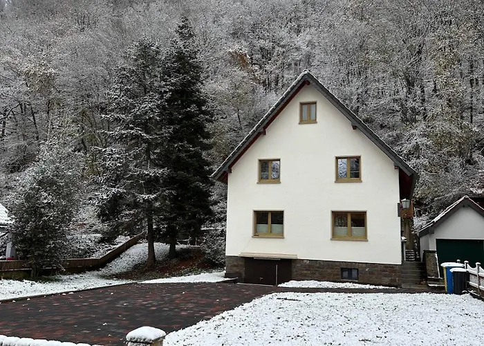 Ginkgo Biloba 펜션