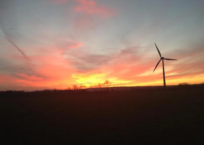 Ginkgo Biloba Malsbenden