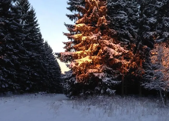 Ginkgo Biloba * Malsbenden