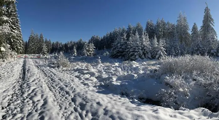 펜션 Ginkgo Biloba