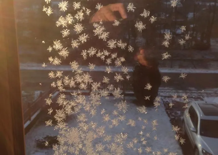 Ginkgo Biloba Malsbenden