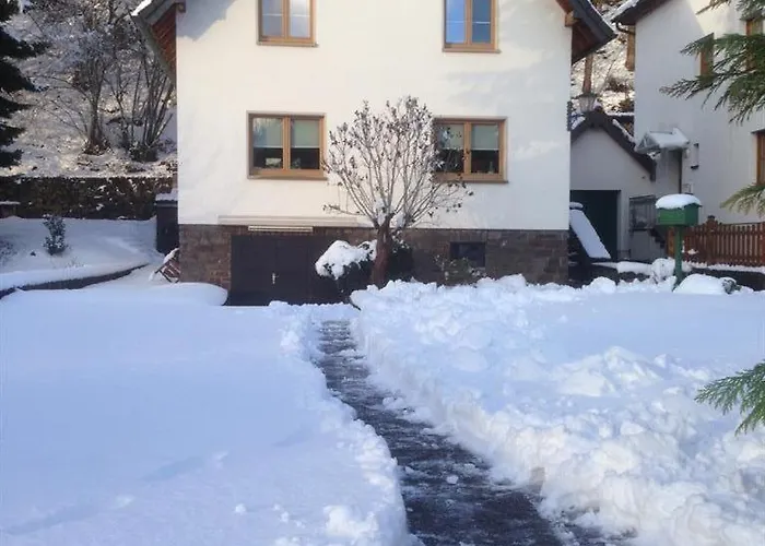 بيت للعطل Ginkgo Biloba *