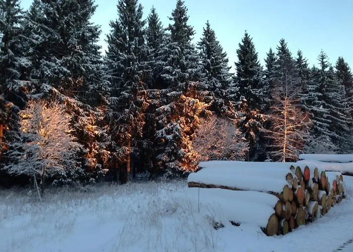 Ginkgo Biloba 펜션 *