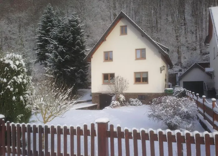 Ginkgo Biloba * Malsbenden