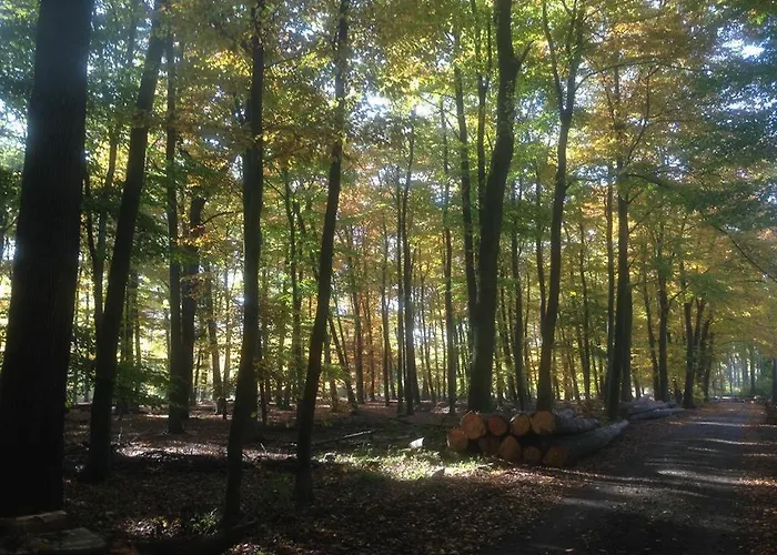 Ginkgo Biloba 펜션 Malsbenden