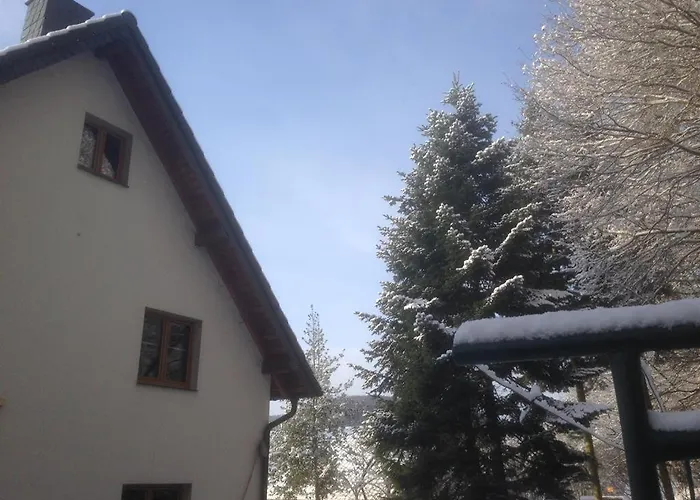 Ginkgo Biloba 펜션 *