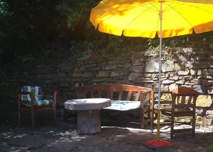 Ginkgo Biloba * Malsbenden