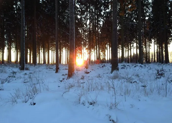 Ginkgo Biloba 펜션 Malsbenden