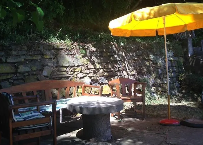 Ginkgo Biloba Malsbenden