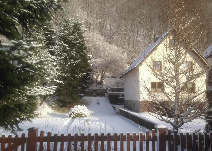 بيت للعطل Ginkgo Biloba Malsbenden