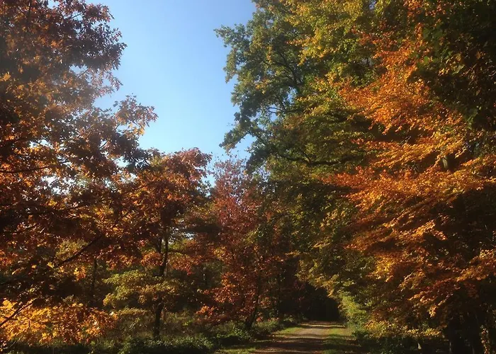 بيت للعطل Ginkgo Biloba