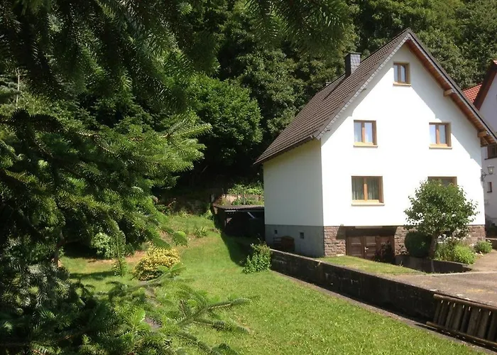 بيت للعطل Ginkgo Biloba *