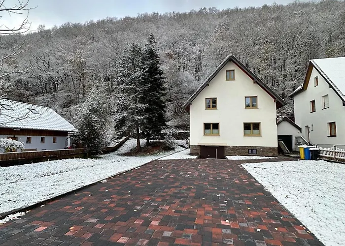 بيت للعطل Ginkgo Biloba Malsbenden