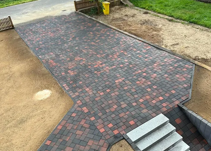 Ginkgo Biloba Malsbenden