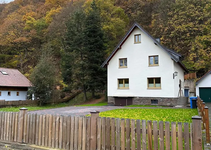 Ginkgo Biloba 펜션