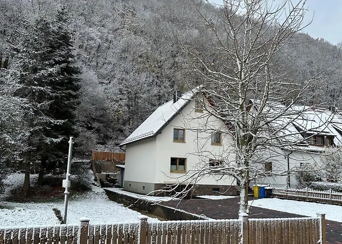 بيت للعطل Ginkgo Biloba *