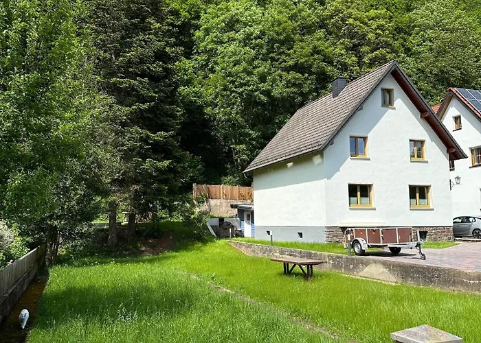 Ginkgo Biloba Дом отдыха