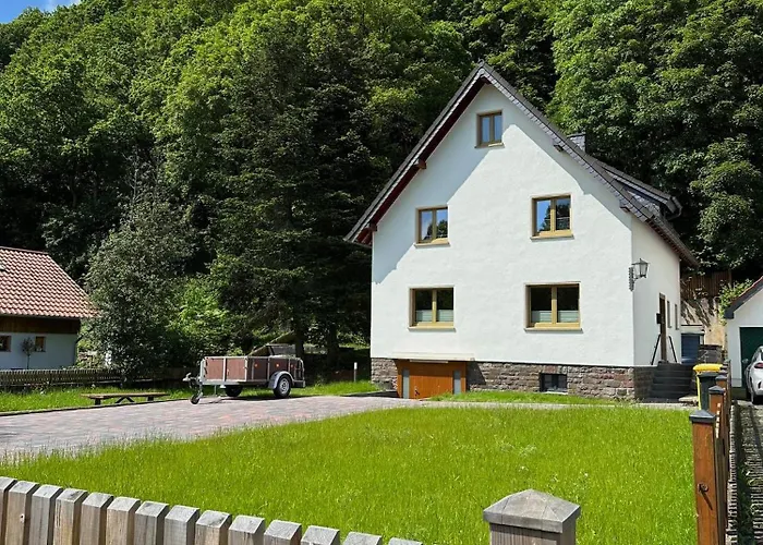 Ginkgo Biloba * Malsbenden