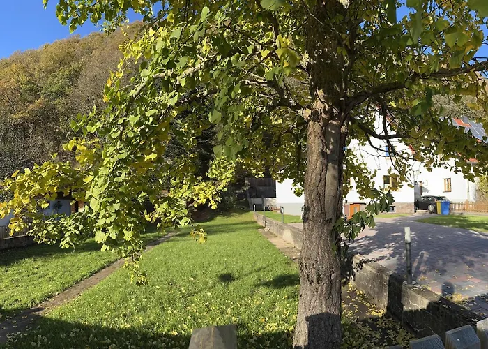 Ginkgo Biloba بيت للعطل *