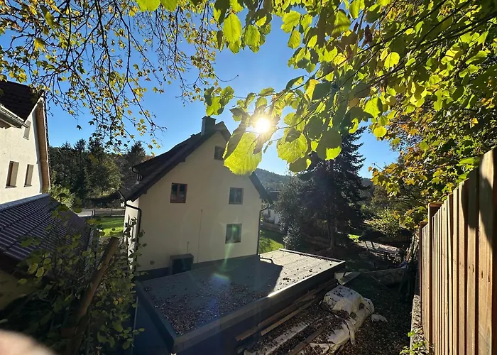 Ginkgo Biloba Malsbenden