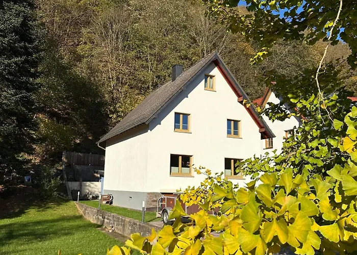 Ginkgo Biloba بيت للعطل Malsbenden